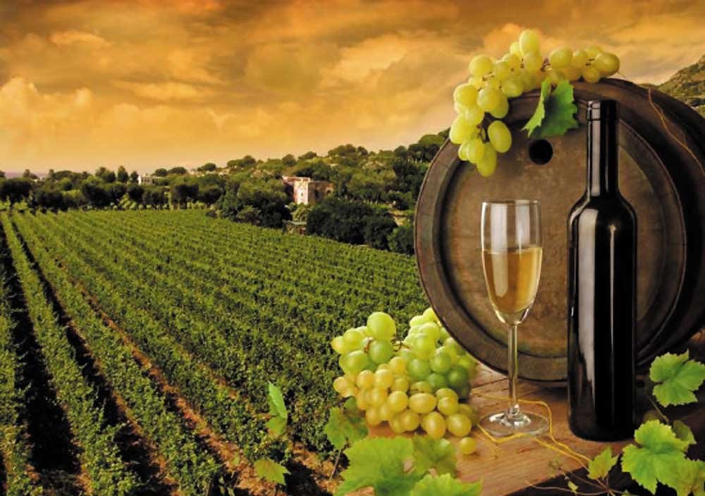 Закон про виноград та виноградне вино планують викласти у новій редакції